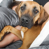 100% Bamboo Modern Set - Wooflinen