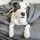 100% Bamboo Modern Set - Wooflinen