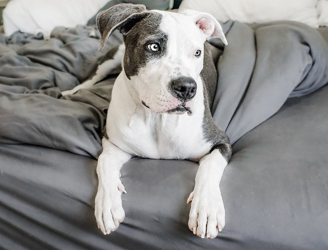 100% Bamboo Modern Set - Wooflinen