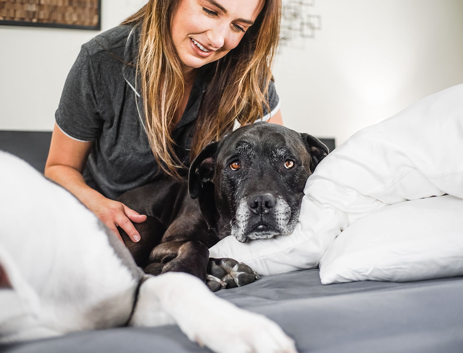 100% Bamboo Pillowcase Set - Wooflinen