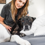 100% Bamboo Pillowcase Set - Wooflinen