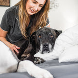 100% Bamboo Pillowcase Set - Wooflinen