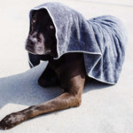 Microfiber Pet Towel 2-Pack - Wooflinen